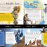 All About Religion - thumbnail of spread image 1 Thumbnail image of All About Religion - 1