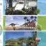 Dinosaurs A Children's Encyclopedia - thumbnail of spread image 7 Thumbnail image of Dinosaurs A Children's Encyclopedia - 7