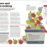 How Psychology Works - thumbnail of spread image 3 Thumbnail image of How Psychology Works - 3
