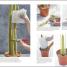 RHS Practical Cactus and Succulent Book - thumbnail of spread image 2 Thumbnail image of RHS Practical Cactus and Succulent Book - 2
