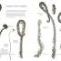 Botany for the Artist - thumbnail of spread image 4 Thumbnail image of Botany for the Artist - 4