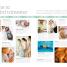 The Day-by-Day Pregnancy Book - thumbnail of spread image 2 Thumbnail image of The Day-by-Day Pregnancy Book - 2