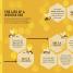 The Bee Book - thumbnail of spread image 3 Thumbnail image of The Bee Book - 3
