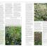 RHS Encyclopedia of Perennials - thumbnail of spread image 1 Thumbnail image of RHS Encyclopedia of Perennials - 1