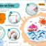 Super Slime - thumbnail of spread image 4 Thumbnail image of Super Slime - 4