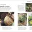 RHS How To Garden When You're New To Gardening - thumbnail of spread image 3 Thumbnail image of RHS How To Garden When You're New To Gardening - 3