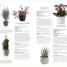 Practical Houseplant Book - thumbnail of spread image 4 Thumbnail image of Practical Houseplant Book - 4