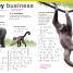 DK Braille: Animals - thumbnail of spread image 5 Thumbnail image of DK Braille: Animals - 5