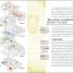 Unsolved Murders - thumbnail of spread image 4 Thumbnail image of Unsolved Murders - 4
