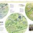 Big History - thumbnail of spread image 2 Thumbnail image of Big History - 2