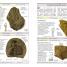 Fossils - thumbnail of spread image 4 Thumbnail image of Fossils - 4
