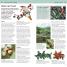 RSPB Pocket Garden Birdwatch - thumbnail of spread image 3 Thumbnail image of RSPB Pocket Garden Birdwatch - 3