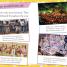 Festivals and Celebrations - thumbnail of spread image 2 Thumbnail image of Festivals and Celebrations - 2
