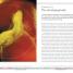Your Pregnancy Week by Week - thumbnail of spread image 6 Thumbnail image of Your Pregnancy Week by Week - 6