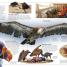 Eagle & Birds of Prey - thumbnail of spread image 1 Thumbnail image of Eagle & Birds of Prey - 1