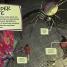 Marvel Spider-Man Into the Spider-Verse The Official Guide - thumbnail of spread image 3 Thumbnail image of Marvel Spider-Man Into the Spider-Verse The Official Guide - 3