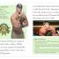 DK Reader Level 2: WWE John Cena Second Edition - thumbnail of spread image 1 Thumbnail image of DK Reader Level 2: WWE John Cena Second Edition - 1