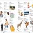 Children's Illustrated Dictionary - thumbnail of spread image 2 Thumbnail image of Children's Illustrated Dictionary - 2