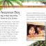 Rainforest Explorer - thumbnail of spread image 3 Thumbnail image of Rainforest Explorer - 3