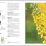 Neal's Yard Remedies Healing Herbs - thumbnail of spread image 3 Thumbnail image of Neal's Yard Remedies Healing Herbs - 3