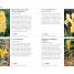 RHS What Plant When - thumbnail of spread image 4 Thumbnail image of RHS What Plant When - 4
