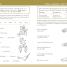 Spelling, Punctuation and Grammar Made Easy Ages 5-7 Key Stage 1 - thumbnail of spread image 4 Thumbnail image of Spelling, Punctuation and Grammar Made Easy Ages 5-7 Key Stage 1 - 4