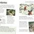 Birds - thumbnail of spread image 4 Thumbnail image of Birds - 4