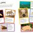 Ultimate Sticker Book: Deadly Animals - thumbnail of spread image 2 Thumbnail image of Ultimate Sticker Book: Deadly Animals - 2