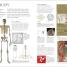 Signs and Symbols - thumbnail of spread image 3 Thumbnail image of Signs and Symbols - 3