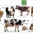 My First Farm Let's Get Working - thumbnail of spread image 1 Thumbnail image of My First Farm Let's Get Working - 1