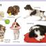 My First Pets - thumbnail of spread image 1 Thumbnail image of My First Pets - 1