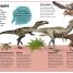 Dinosaur A to Z - thumbnail of spread image 2 Thumbnail image of Dinosaur A to Z - 2