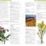 Encyclopedia of Herbal Medicine - thumbnail of spread image 3 Thumbnail image of Encyclopedia of Herbal Medicine - 3
