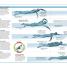 The Triathlon Training Book - thumbnail of spread image 4 Thumbnail image of The Triathlon Training Book - 4