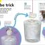 How to Be a Scientist - thumbnail of spread image 5 Thumbnail image of How to Be a Scientist - 5