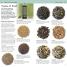 RSPB Pocket Garden Birdwatch - thumbnail of spread image 4 Thumbnail image of RSPB Pocket Garden Birdwatch - 4