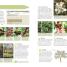 RHS Step-by-Step Veg Patch - thumbnail of spread image 3 Thumbnail image of RHS Step-by-Step Veg Patch - 3