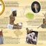 100 Events That Made History - thumbnail of spread image 3 Thumbnail image of 100 Events That Made History - 3
