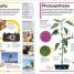 DK Children's Encyclopedia - thumbnail of spread image 3 Thumbnail image of DK Children's Encyclopedia - 3