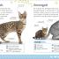 The Everything Book of Cats and Kittens - thumbnail of spread image 2 Thumbnail image of The Everything Book of Cats and Kittens - 2