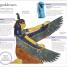 Myths, Legends, and Sacred Stories A Children's Encyclopedia - thumbnail of spread image 7 Thumbnail image of Myths, Legends, and Sacred Stories A Children's Encyclopedia - 7