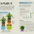 How Not to Kill Your Houseplant - thumbnail of spread image 3 Thumbnail image of How Not to Kill Your Houseplant - 3