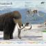 Dinosaurs A Children's Encyclopedia - thumbnail of spread image 9 Thumbnail image of Dinosaurs A Children's Encyclopedia - 9