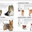 The Complete Dog Breed Book - thumbnail of spread image 4 Thumbnail image of The Complete Dog Breed Book - 4