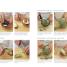 MasterChef Kitchen Bible - thumbnail of spread image 3 Thumbnail image of MasterChef Kitchen Bible - 3