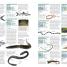 Animal - thumbnail of spread image 3 Thumbnail image of Animal - 3