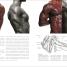 Anatomy for the Artist - thumbnail of spread image 5 Thumbnail image of Anatomy for the Artist - 5