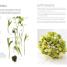Flower Arranging - thumbnail of spread image 3 Thumbnail image of Flower Arranging - 3