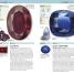 Nature Guide Gems - thumbnail of spread image 2 Thumbnail image of Nature Guide Gems - 2