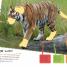 Ultimate Sticker Book: Deadly Animals - thumbnail of spread image 3 Thumbnail image of Ultimate Sticker Book: Deadly Animals - 3
